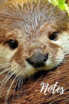 Book cover for Otter Notebook