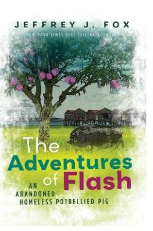 Cover of The Adventures of FLASH