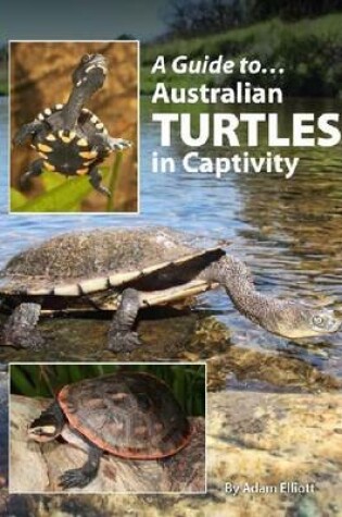 Cover of Australian Turtles In Captivity