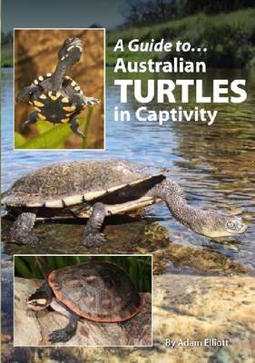 Cover of Australian Turtles In Captivity