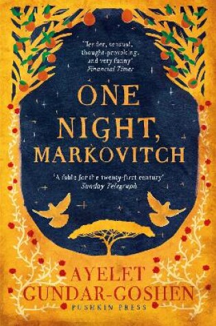 Cover of One Night, Markovitch