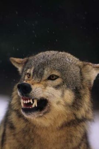 Cover of This Gray Wolf Is Pissed Journal