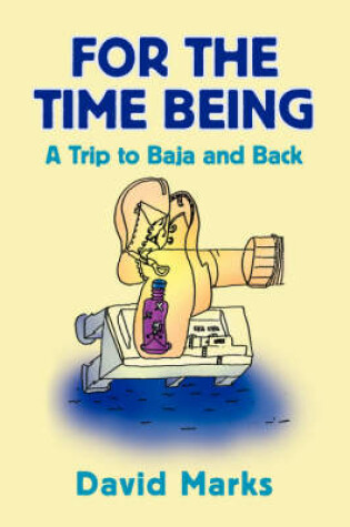 Cover of For the Time Being