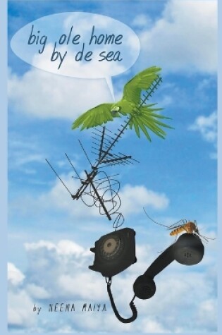 Cover of Big Ole Home By De Sea