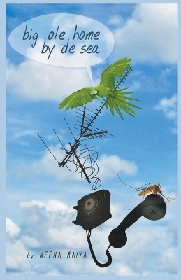 Book cover for Big Ole Home By De Sea