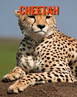 Book cover for Cheetah