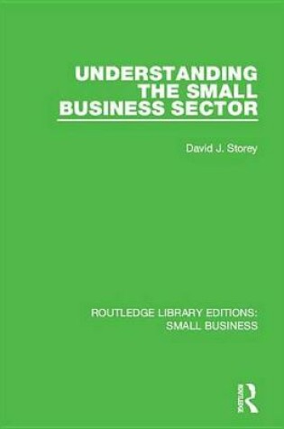 Cover of Understanding The Small Business Sector