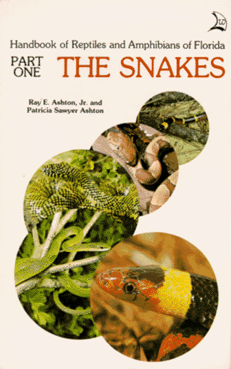 Cover of Handbook of Reptiles and Amphibians of Florida