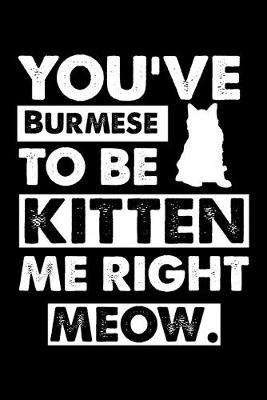 Book cover for You've Burmese To Be Kitten Me Right Meow