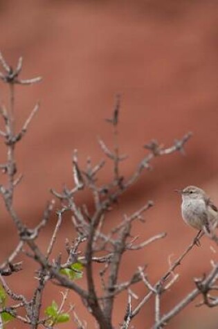 Cover of A Rock Wren in the Utah Desert