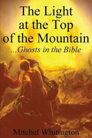 Cover of The Light at the Top of the Mountain