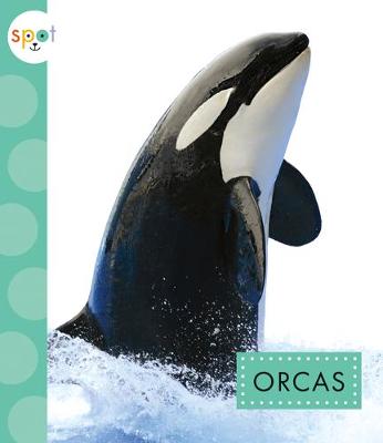 Book cover for Orcas