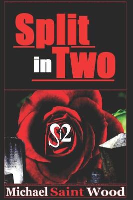 Book cover for Split in Two