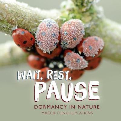 Book cover for Wait, Rest, Pause