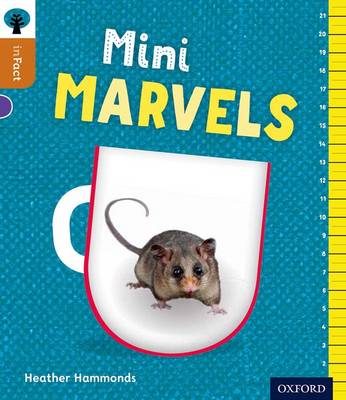 Book cover for Oxford Reading Tree inFact: Level 8: Mini Marvels