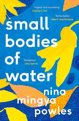 Book cover for Small Bodies of Water