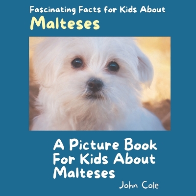 Book cover for A Picture Book for Kids About Malteses