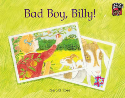 Book cover for Bad Boy, Billy!