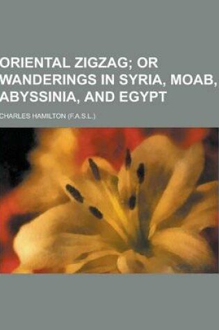 Cover of Oriental Zigzag