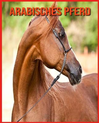 Book cover for Arabisches Pferd