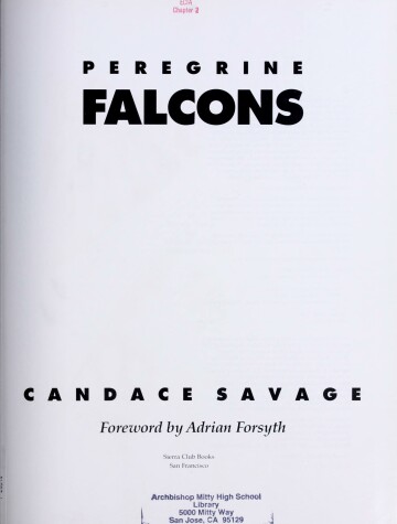 Book cover for Peregrine Falcons