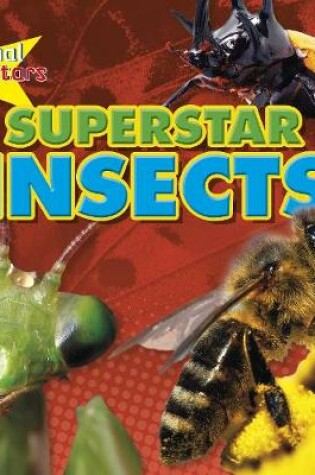 Cover of Insect Superstars