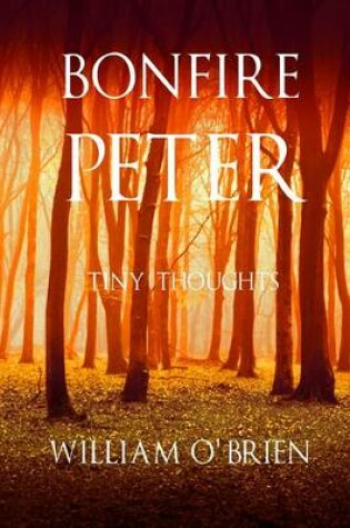 Cover of Bonfire Peter