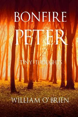 Book cover for Bonfire Peter