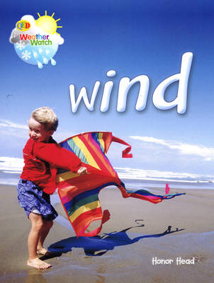 Book cover for Wind