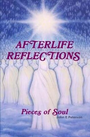Cover of Afterlife Reflections