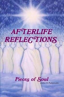 Book cover for Afterlife Reflections