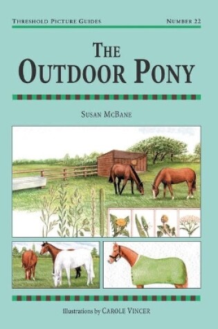 Cover of The Outdoor Pony