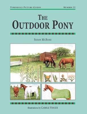 Book cover for The Outdoor Pony