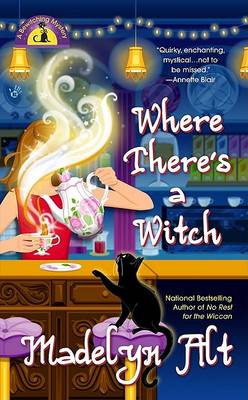 Book cover for Where There's a Witch