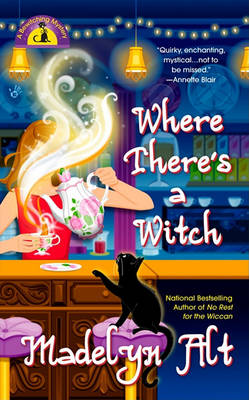 Book cover for Where There's a Witch