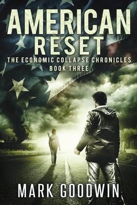 Book cover for American Reset