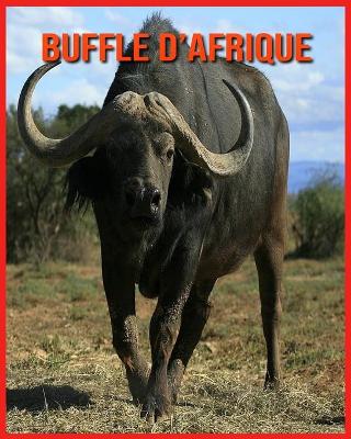 Book cover for Buffle d'Afrique