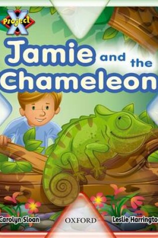 Cover of Project X: Hide and Seek: Jamie and the Chameleon