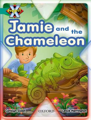 Book cover for Project X: Hide and Seek: Jamie and the Chameleon