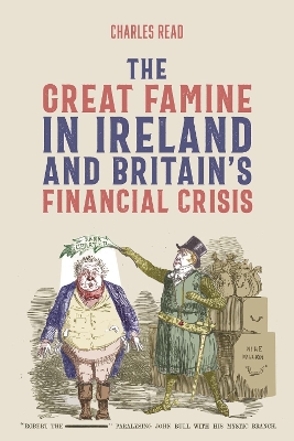Book cover for The Great Famine in Ireland and Britain's Financial Crisis