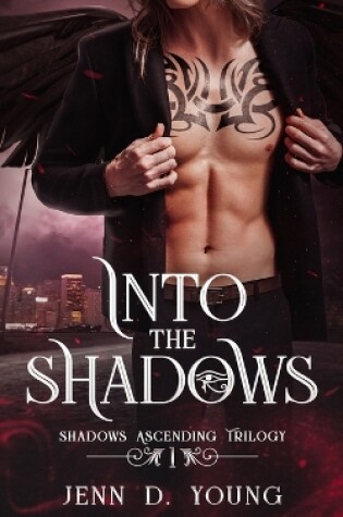 Cover of Into The Shadows