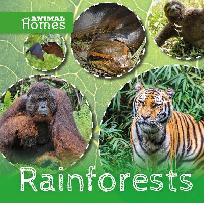 Book cover for Rainforests