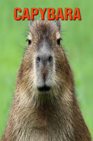 Cover of Capybara