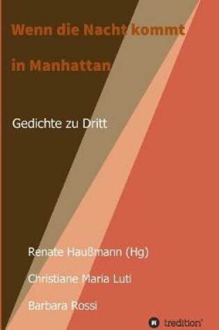 Cover of Wenn die Nacht kommt in Manhattan