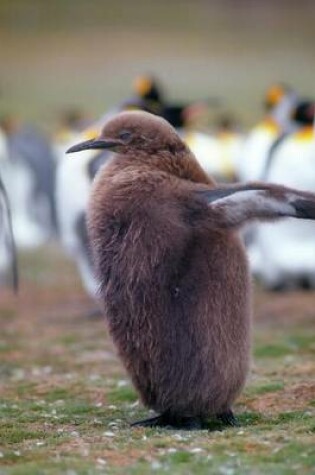 Cover of Adorable Fuzzy Brown Juvenile King Penguin Journal