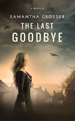 Book cover for The Last Goodbye