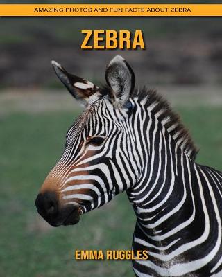 Book cover for Zebra