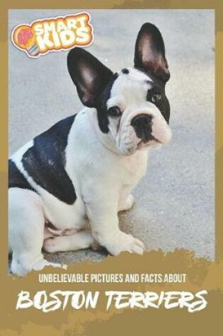 Cover of Unbelievable Pictures and Facts About Boston Terriers