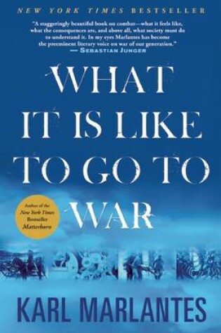 Cover of What Its Like to Go to War