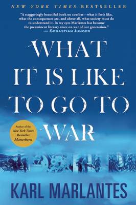 Book cover for What Its Like to Go to War